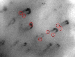 image2