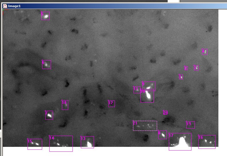 image5